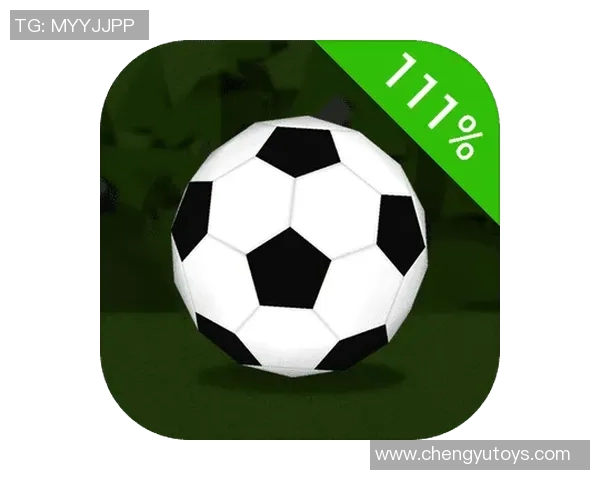 竞技体育英文表达的多样性及其在全球体育交流中的重要性探讨